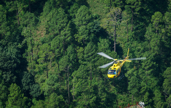 360_F_202217753_hsGIFSHXPCs2kFb7udJQPUGztFyPsl7P